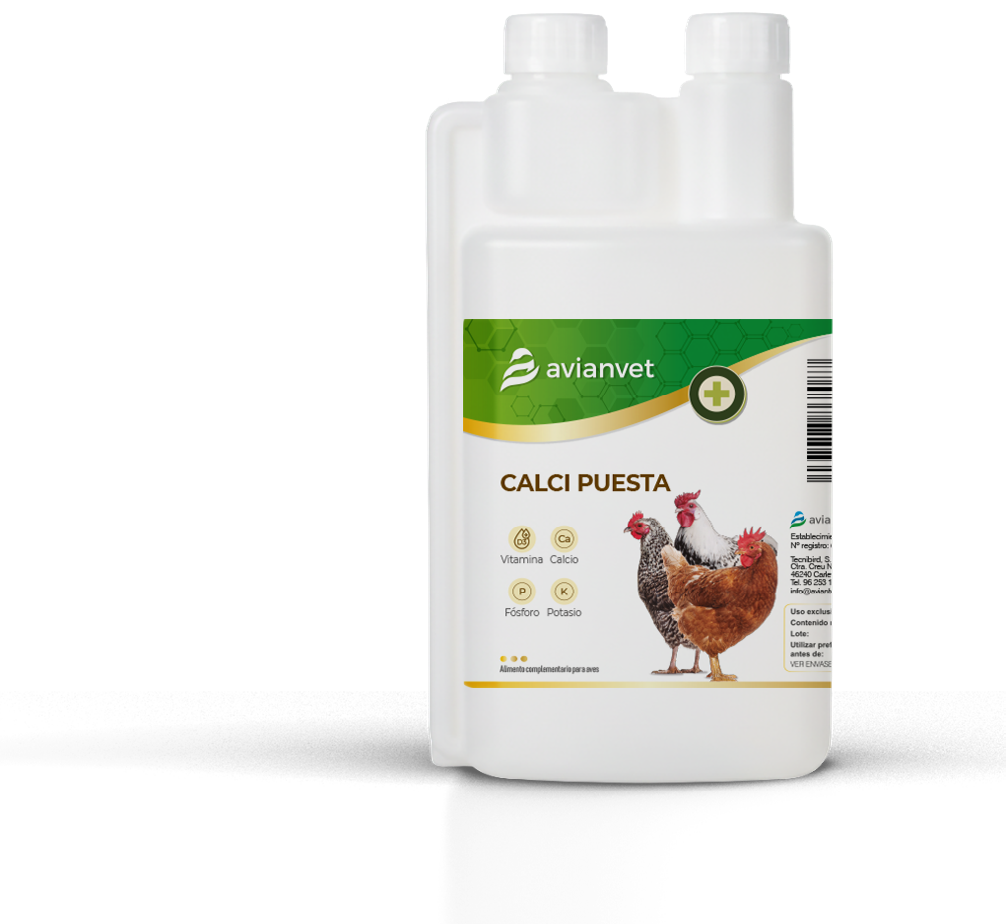 Calci Puesta para gallinas ponedoras