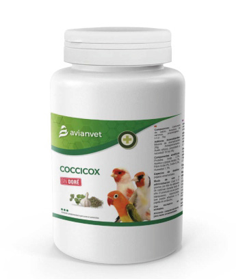 Coccicox
