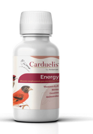 Energy Carduelis