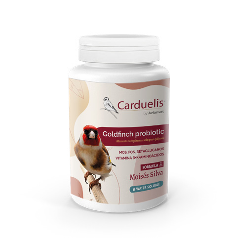 Goldfinch probiotic