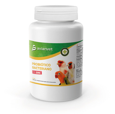 Probiótico Bacteriano