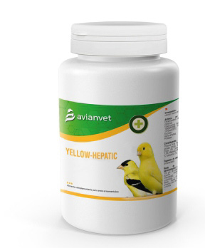 Yellow Hepatic